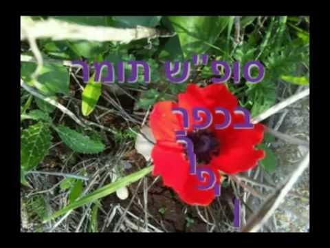 סופ"ש גרעין תומר בכפר רופין - 8-2-2014