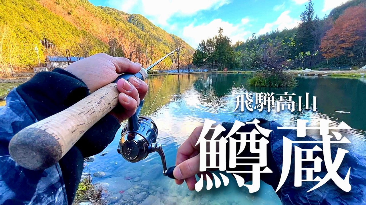 【エリアトラウト】飛騨高山鱒蔵でルアー&フライで爆釣釣り納め！！