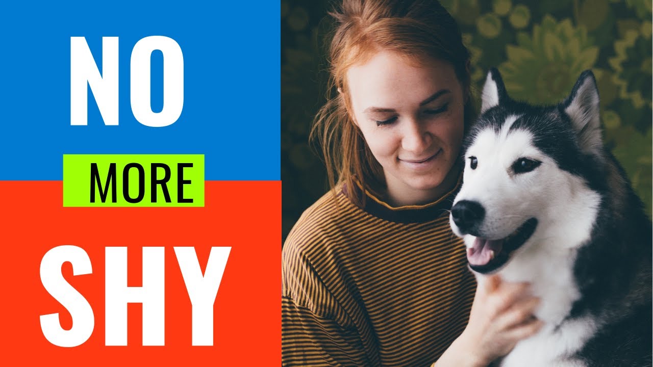 Training a fearful, shy dog at home. Understanding a shy and fearful