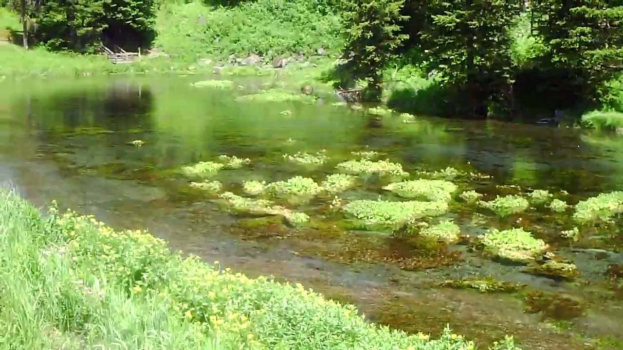 Big Springs, Idaho YouTube