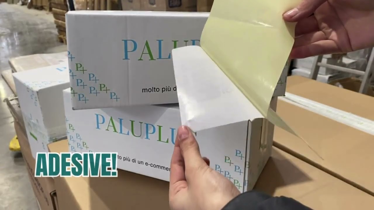 Rotolo Etichette Termiche 100x100 Mm - 500 Pezzi, Foro 40 Mm, Bianche, Per Stampanti Zebra - Foto 4