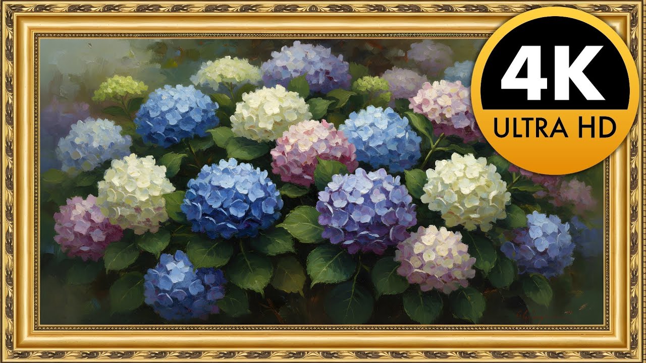 Elegant Hydrangea Garden Art in Gold Frame | Relaxing Floral TV Art 4K