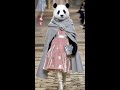 Panda Fashion Show AI Meng AI Panda Panda Animation Panda Fashion Show AI Meng AI Panda Panda Animation