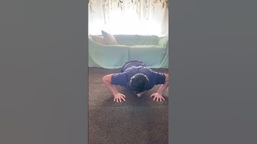 Push up Lab 8 KIN 300