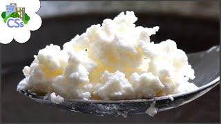 How to Make Soft Ricotta Cheese at Home - No Cheesecloth or Thermometer Needed.