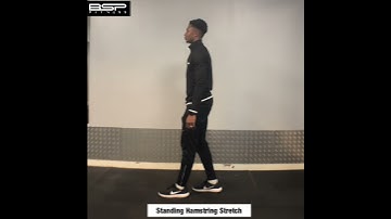 Standing Hamstring Stretch