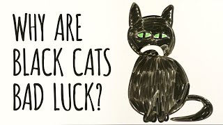 Cat Breed Myths:You'll Want a Black Cat