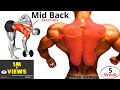 Sculpt Your Mid Back: تمارين منتصف الظهر للحصول على ظهر قوي 5