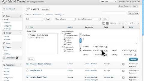 How to use Bulk action in Edit Wordpress Posts