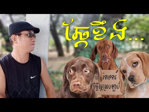 កំហឹងឆ្កែ LoukMea លោកមា Troll