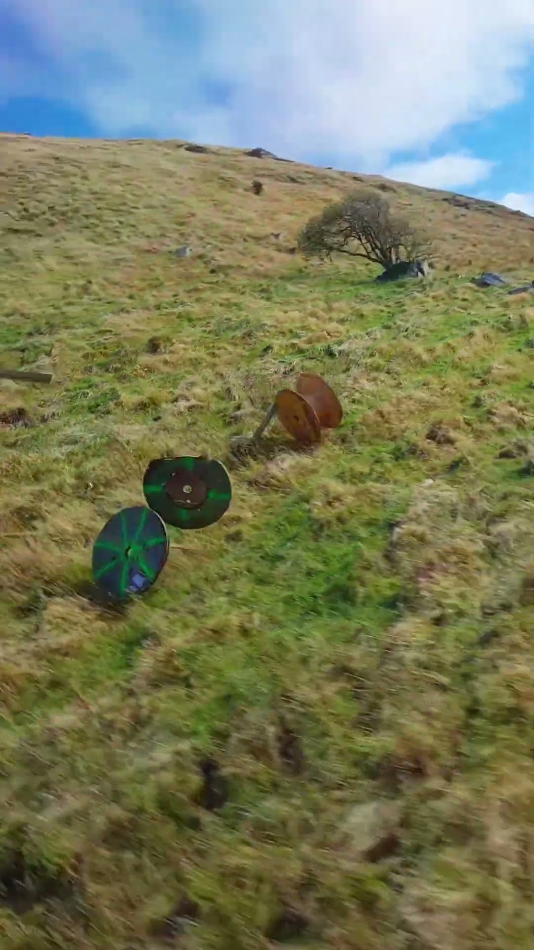 The most random race you'll see today ?