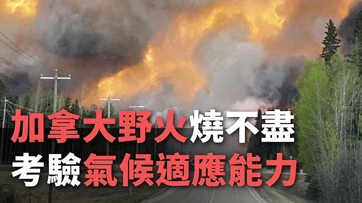 加拿大野火烧不尽 考验气候适应能力【央广国际新闻】 - 天天要闻