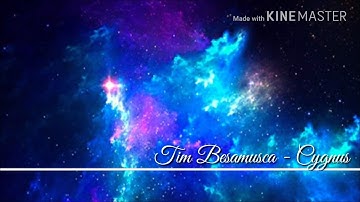 Tim Besamusca - Cygnus