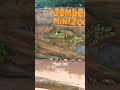 Runnn 🤣 #padahariini #jemberminizoo #zoo #guineapigs #marmut