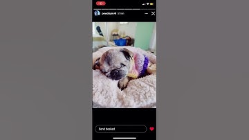 Maya’s passing (rip) - Pewds instagram #shorts