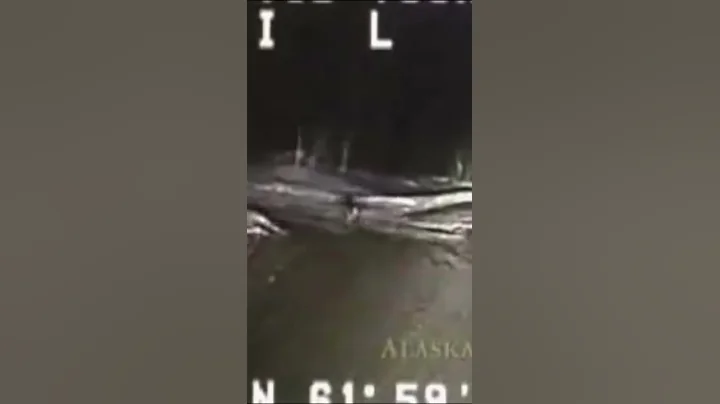 Heroic Family Dog Leads Rescue Team to Owner's House on Fire | An Animal Saved My Life | A&E #shorts