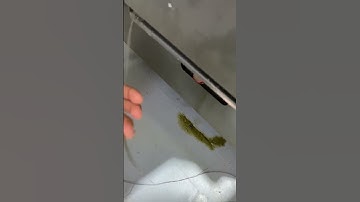 CNC machining, lathe turning, hight speed machining milling, mastercam programming, Haas machining😅