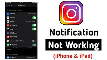 Fix Instagram Notifications Not Working in iPhone (2022)