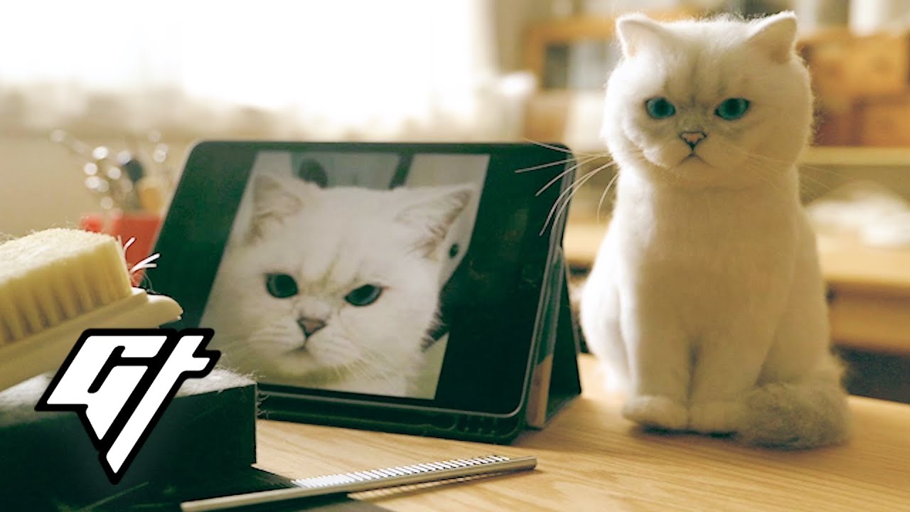 Remembering Your Dead Cat with a Lifelike Felt Replica YouTube