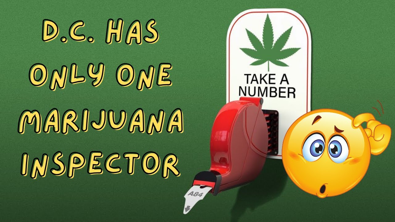 Washington D.C. has only one marijuana inspector