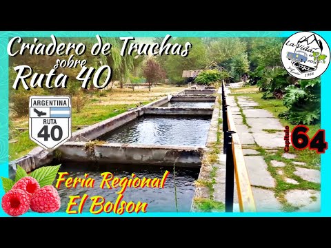 🖐Goodbye EL BOLSON🏞🍓🐟