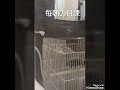 シャワー最高！！(Qﾁｬﾝの気持ち)