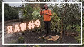 (Raw) Dead Beech Removal [UK Tree Work]