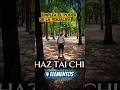 Haz TAI CHI VISUALIZANDO ~ 4 Elementos ~ matias peralta #meditacion #taichi sin perjuicios.