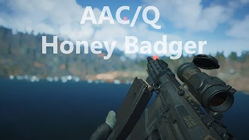 Fallout 4 AAC/Q Honey Badger