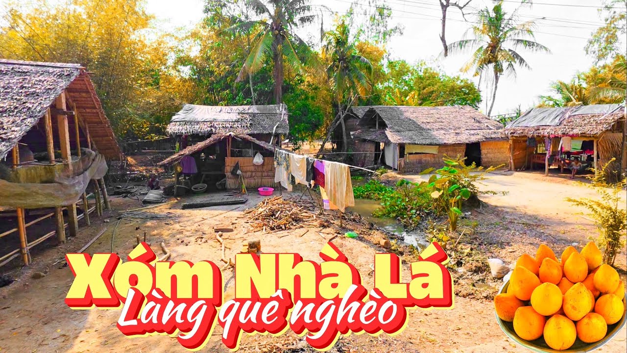 Không Ngờ Vẫn Còn, Xóm Nhà Lá Chỉ Sài (Đèn Cóc) Không Có Điện, Tự Trầm Lá Để Lợp Nhà, QUÁ NGHÈO