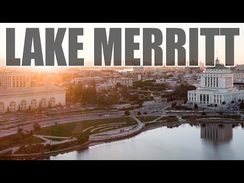 Must Do at Lake Merritt l Oakland California