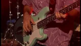 Omar & the Howlers Live in Germany 2005 Mississippi Hoo Doo Man