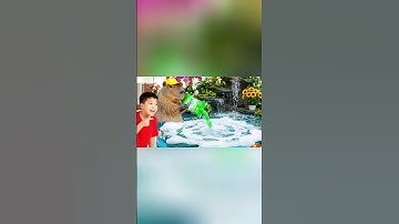 Capy cùng anh giúp bà cho cá ăn và cái kết #capybara