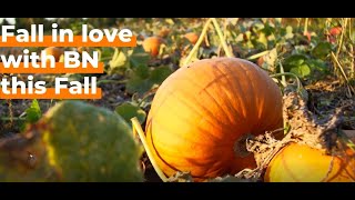 Fall In Love With Bn This Fall Visitbn