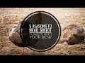 5 Reasons You Should Be Head Shooting When Bow Hunting Turkeys