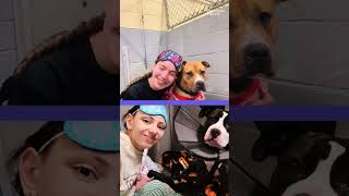 Dog rescue has unique fundraiser. See adorable slumber party.