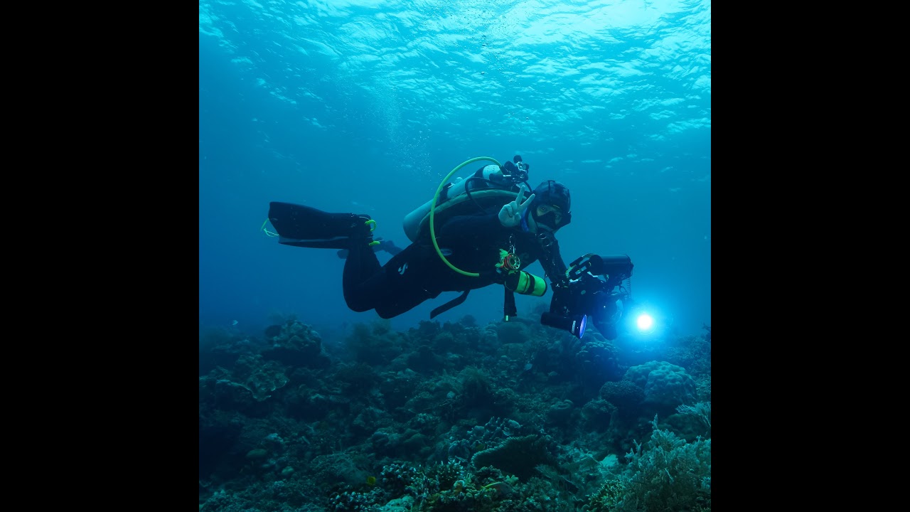 OCEANIC VR DIVE님의 실시간 스트림 - YouTube