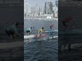 PADDLE BATTLE #sup #race #racing