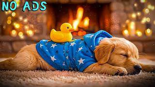 15 Stunden beruhigende Musik für Hunde 🎵💖 Achtsame Schlaftherapie 🐶 Musik für Stressabbau
