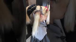 Joico Reds & Coppers with Ricardo Santiago