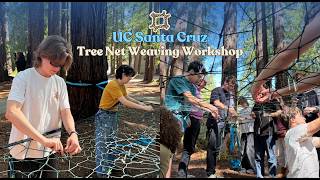 Learning how to weave a tree net in the redwoods