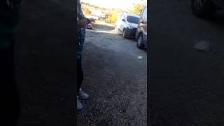 Güvercin salma