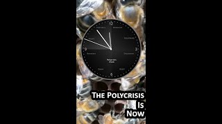 Famous The Polycrisis Intensifies Net Worth