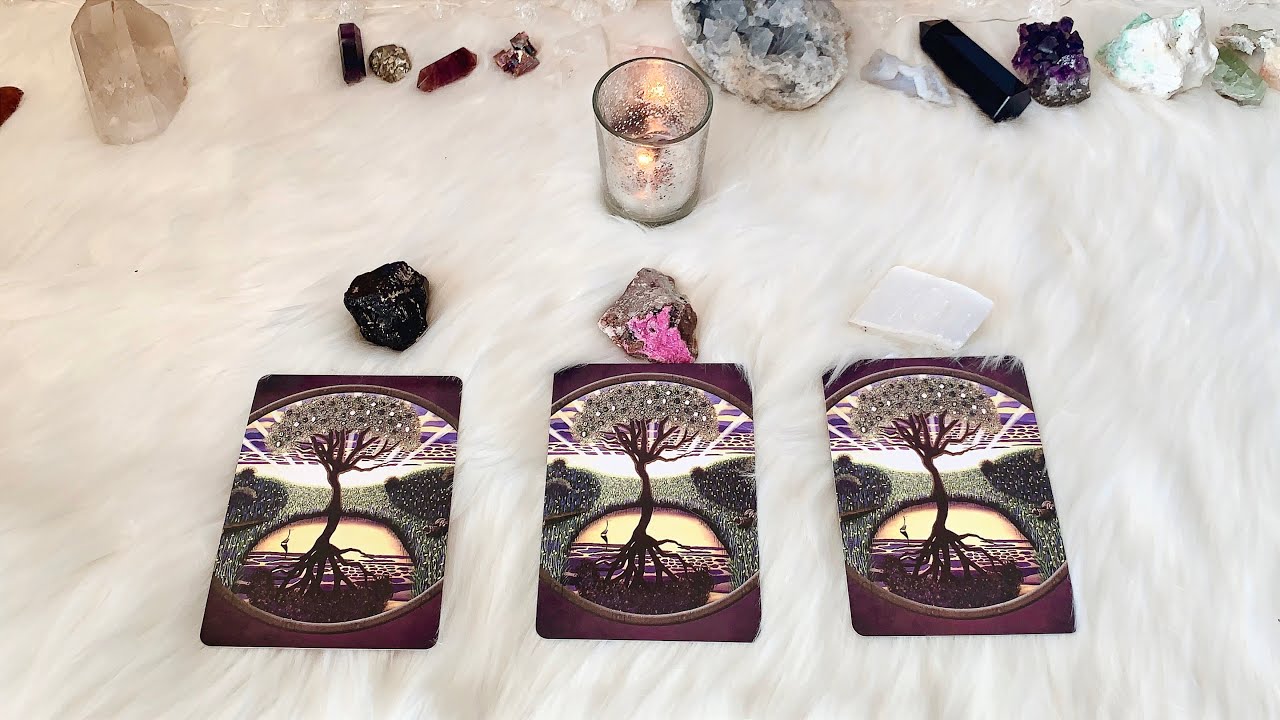 What's Ending? What's Beginning?🌱Timeless Tarot Reading