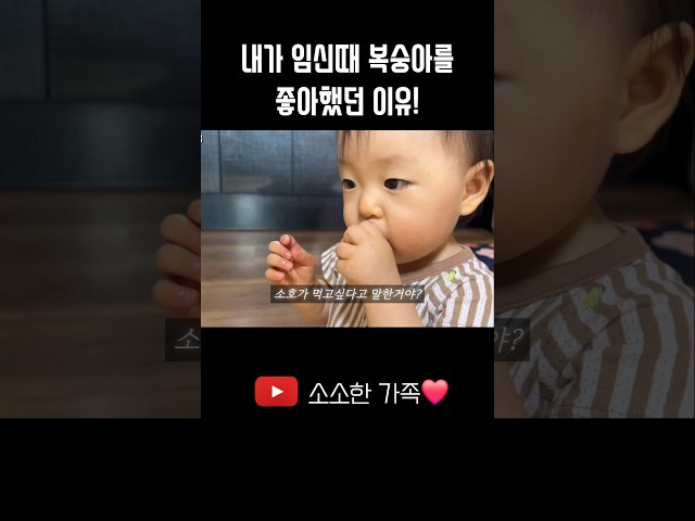 그래서 관심없던 복숭아를 좋아했던거였어요!! #10개월아기