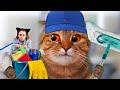 I played with my cat  【ENG SUB】