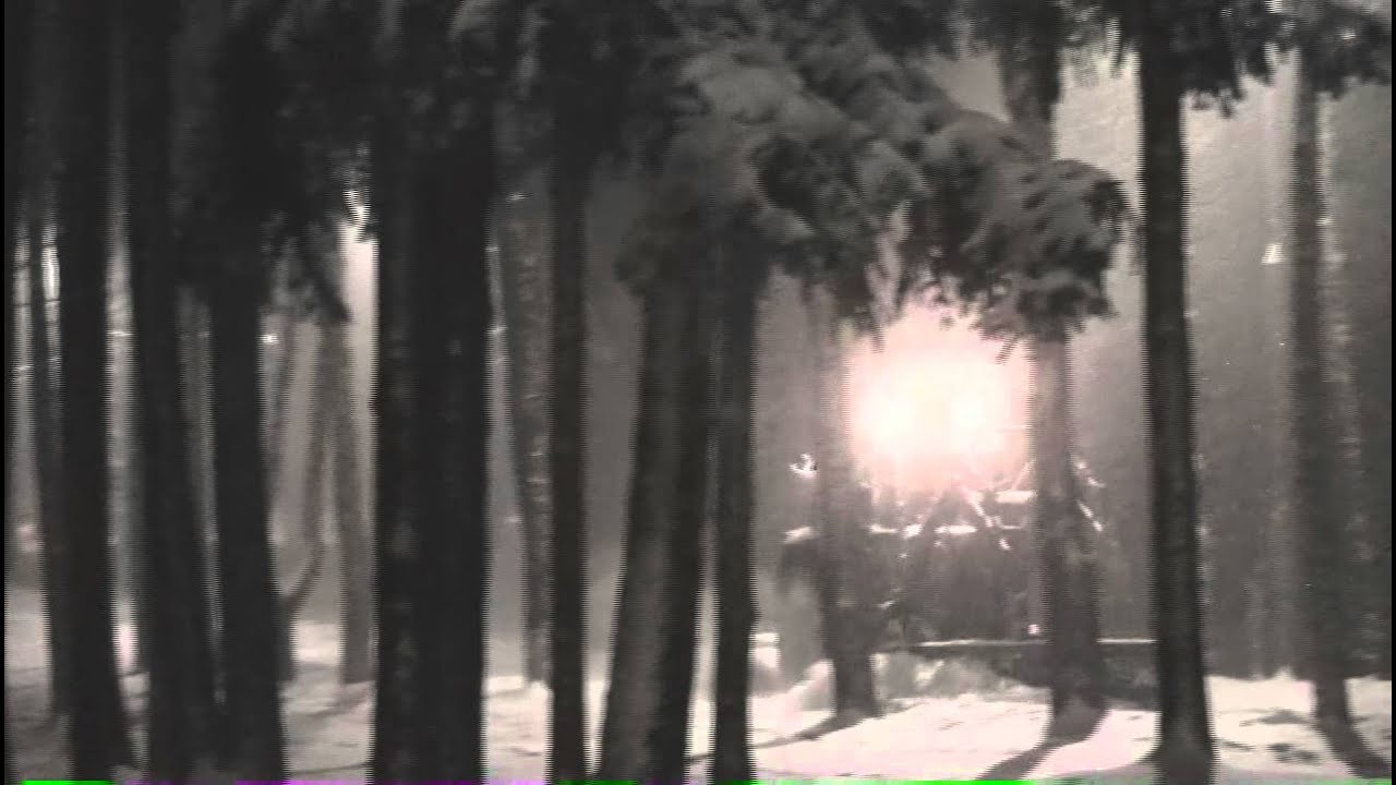 2011.DEC.22 Snowfall, Moscow. 22 декабря 2011 Первый снегопад.