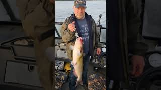 It's SPRING and the fishing has sprung into action #shorts #fishing