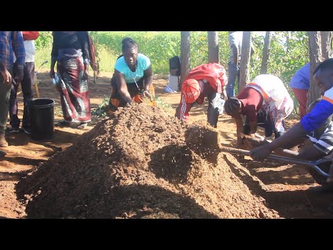 Video: Mimea Bora ya Kutengeneza mboji - Jinsi ya Kukuza Mimea Inayoboresha Mbolea