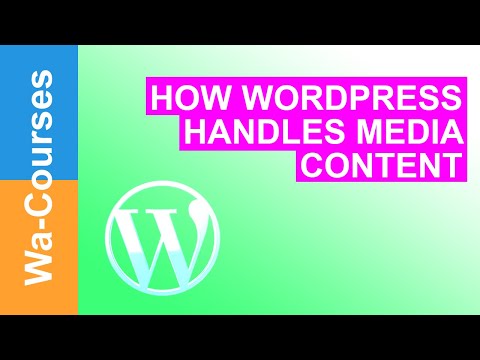 Understanding how WordPress Handles Media Content: Part 29
